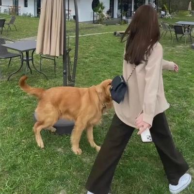 眼镜蛇第一季